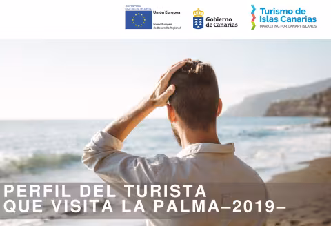 Perfil del turista La Palma 2019.pdf